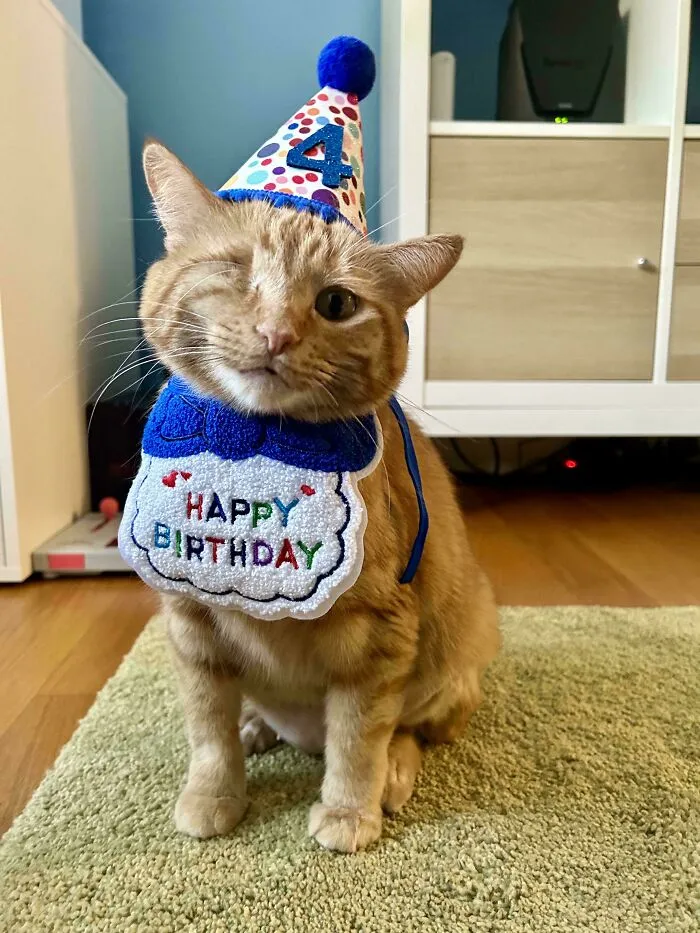 This Is Wink-182 And It’s Her 4th-Ish Birthday Today!