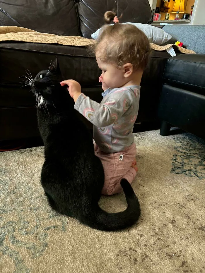 Our Cat, Who Is Typically An A*****e To Everyone, Is In Love With Our Blind Daughter 🤍