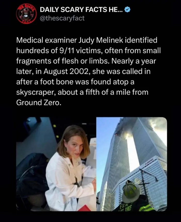 Medical examiner identifying 9/11 victims from small fragments, illustrating scary facts about tragedy and darkness.