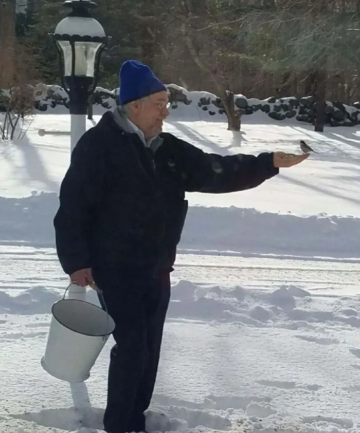 Papá salió a la nieve para alimentar a los pájaros e ¡hizo una nueva amiga! Es oficial: ahora es una princesa Disney.