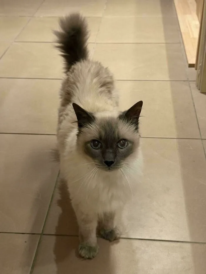 My Old Man, Yahtzee. No One Believes Me When I Tell Them He’s 16 Years Old