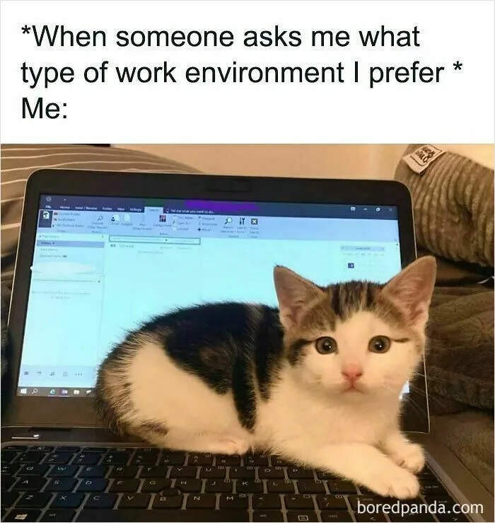 50 Hilariously Relatable WFH Memes To Help You Pretend To Be Working
