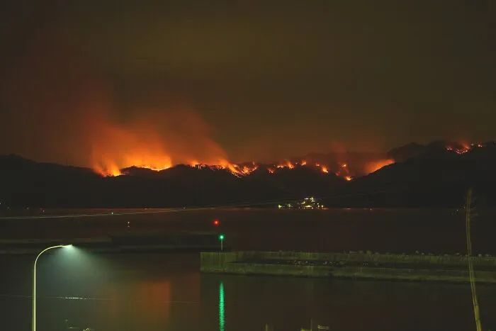 The 2025 Ofunato Wildfire
