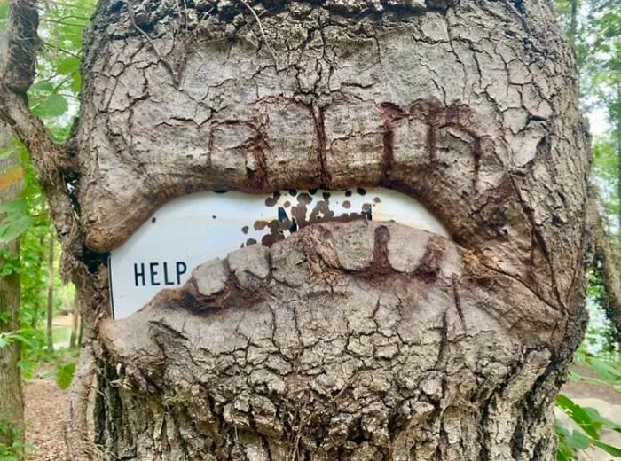 Tree Grew Around This Sign, Only Leaving The Word “Help” Visible