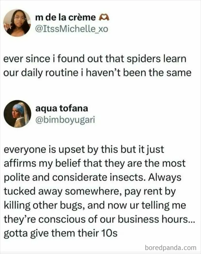 Social media posts about spiders learning daily routines, shared in a very important positivity context to uplift mood.