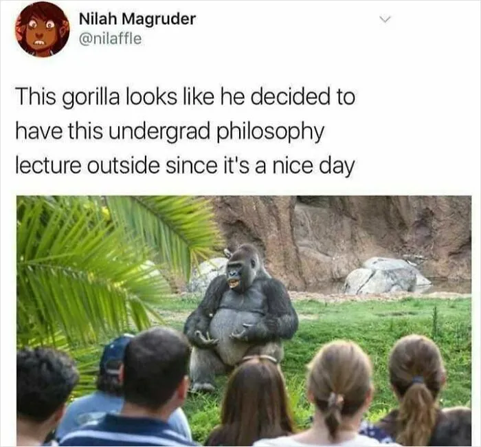 These 50 Philosophy Memes Might Either Give You An Existential Crisis Or Solve All Your Problems