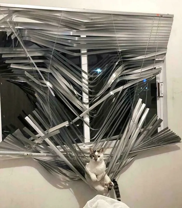 La obra y el artista