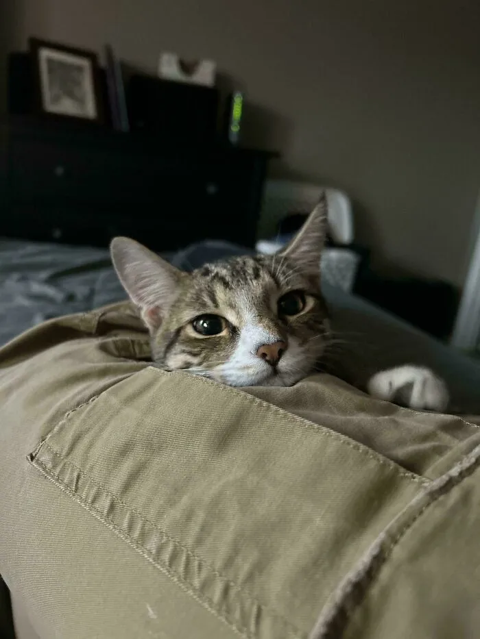 Adopted This Dude A Month Ago And He Won’t Stop Staring At Me