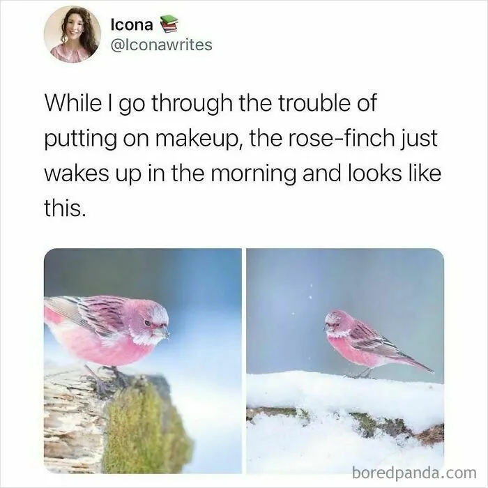 50 Funny And Relatable Memes To Prove Millennials Have Still Got It (New Pics)