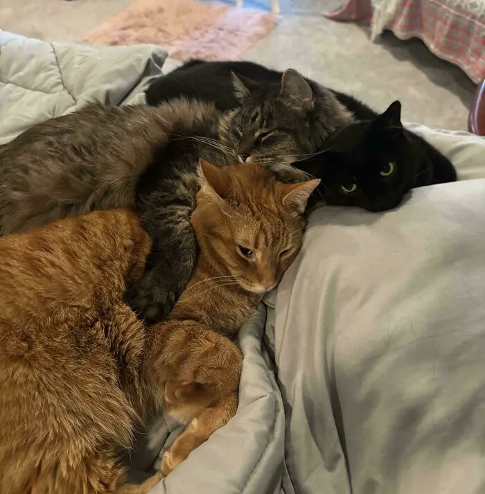 Are Bonded Threes Okay?