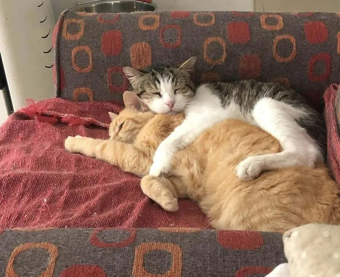 They Are Married