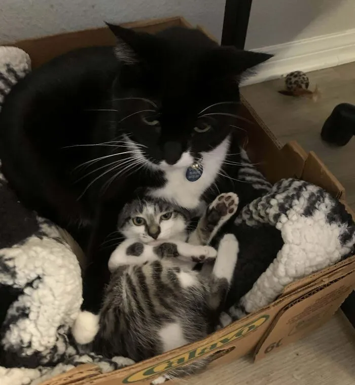 “This Is My Baby Now”