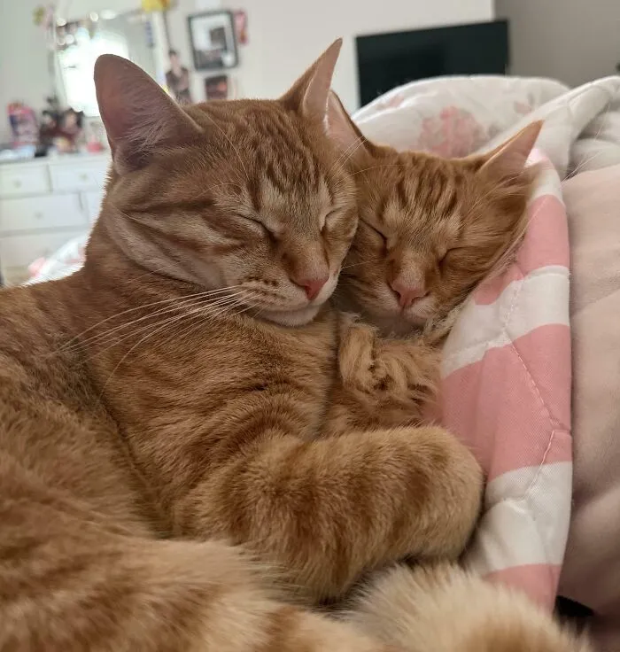 My Heart…