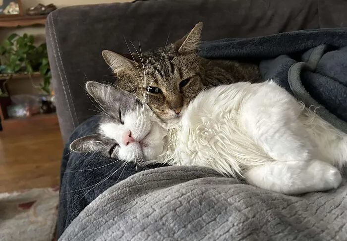 Bonded Is An Understatement
