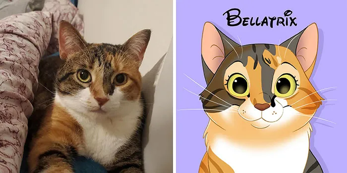 Bellatrix