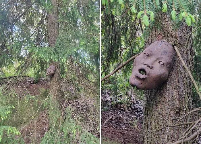 I Found This On A Trail Quite Close To My Home, It Wasn't There Last Week
