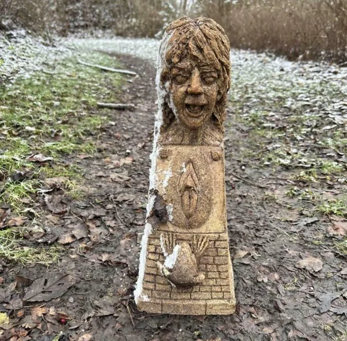 Found In The Woods