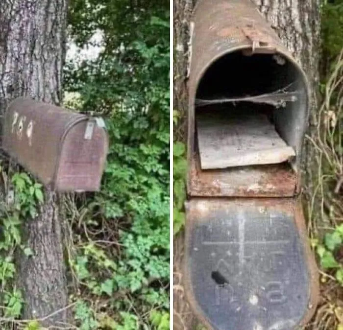 I Pass By This Old Mailbox Every Day