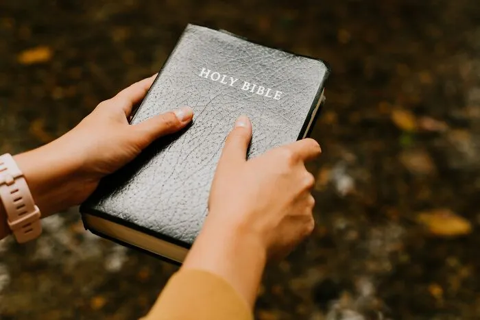 Jesus Wrote The Bible