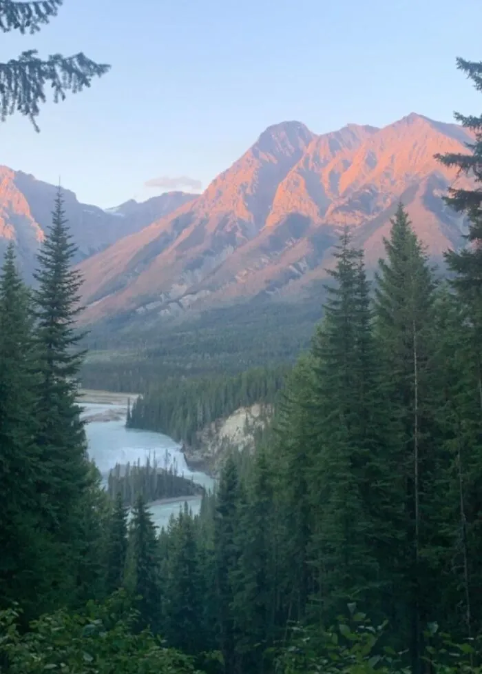 I Think I Hit The Campsite Lottery. Here Is My Current View