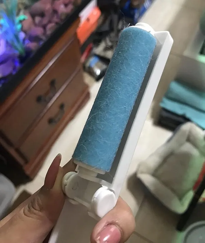 The Subscription To Endlessly Buying Sticky Paper Refills Has Been Officially Canceled By A <a Style="Display:inline;" Href="Https://Www.amazon.com/Reusable-Washable-Remover-Include-Carseats/Dp/B09mq3bqn6?ie=utf8&th=1&linkcode=ll1&tag=bptoucan-20&linkid=9d1a0c150356943f947df626ee2b7d43&language=en_us&ref_=as_li_ss_tl" Target="_blank"> <span Style="Font: Inherit; Color: #d74b1f;"> Washable Lint Roller </Span>