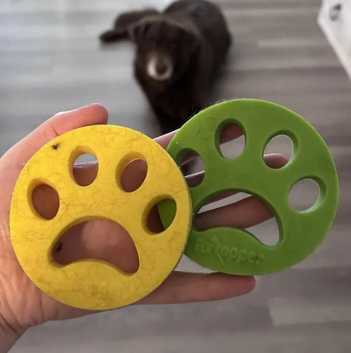 Your Washing Machine Can Now Moonlight As A Pet Hair Eviction Service With The Help Of A <a Style="Display:inline;" Href="Https://Www.amazon.com/Furzapper-2-Pack-Hair-Remover-Laundry/Dp/B074chx3hh?ie=utf8&th=1&linkcode=ll1&tag=bplobster-20&linkid=26171167628879740fd4899acd7a0f3e&language=en_us&ref_=as_li_ss_tl" Target="_blank">  <span Style="Font: Inherit; Color: #d74b1f;"> Furzapper Pet Hair Remover </Span>