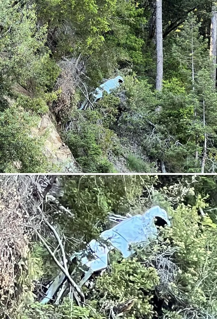 Car In The Trees At Henry Cowell Redwoods State Park