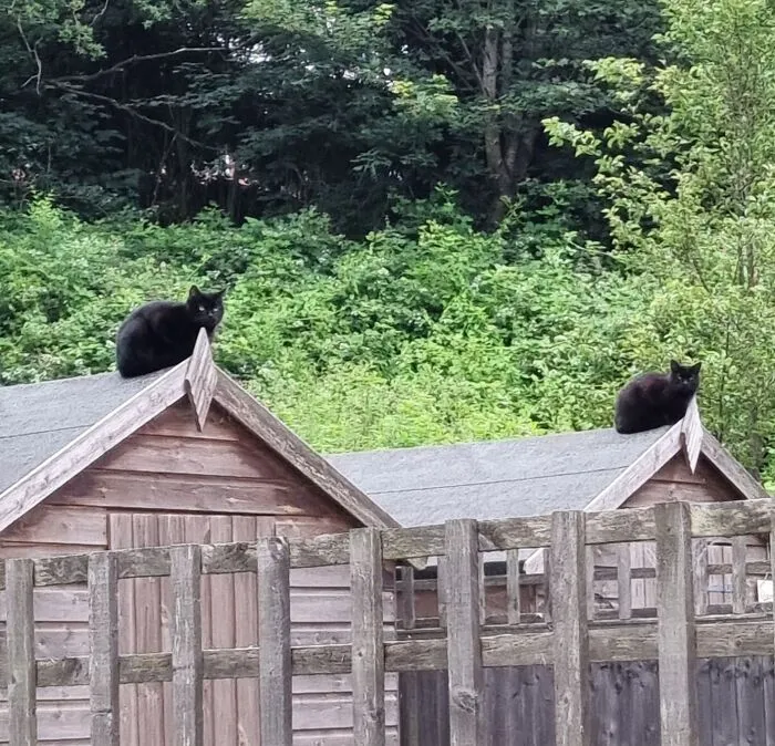 There's A Glitch In The Matrix