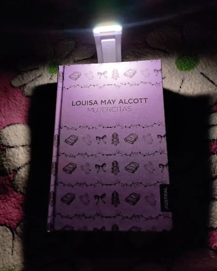 A <a Style="Display:inline;" Href="Https://Www.amazon.com/Glocusent-Rechargeable-Portable-Brightness-Dimmable/Dp/B09pr1btm7?ie=utf8&th=1&linkcode=ll1&tag=bptoucan-20&linkid=7374179efd1c455a88bff2fd5f94fd5b&language=en_us&ref_=as_li_ss_tl" Target="_blank"> <span Style="Font: Inherit; Color: #d74b1f;"> Rechargeable Book Light </Span> Is The Universal Symbol For "I Love You But I Also Really Need To Know What Happens Next"