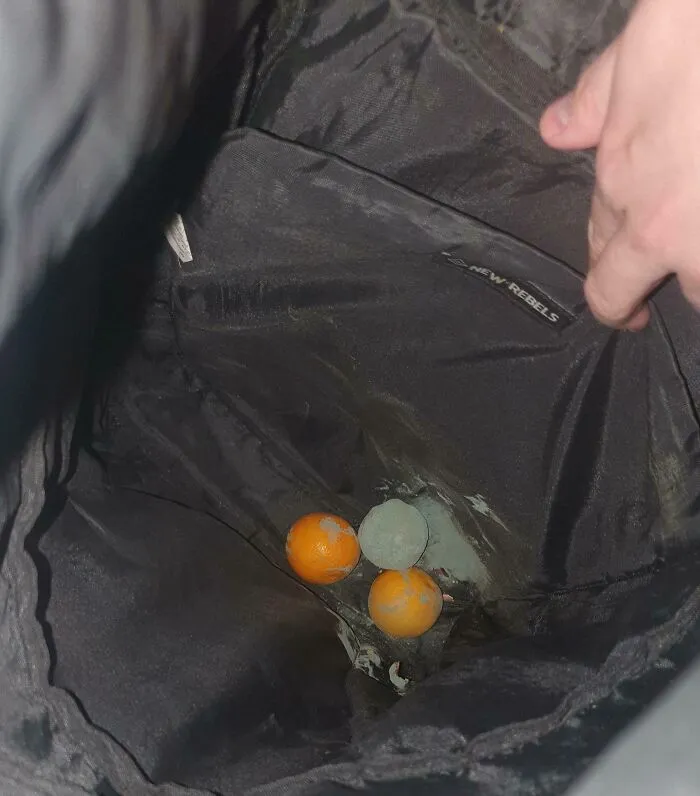Se me olvidaron unas mandarinas en la mochila