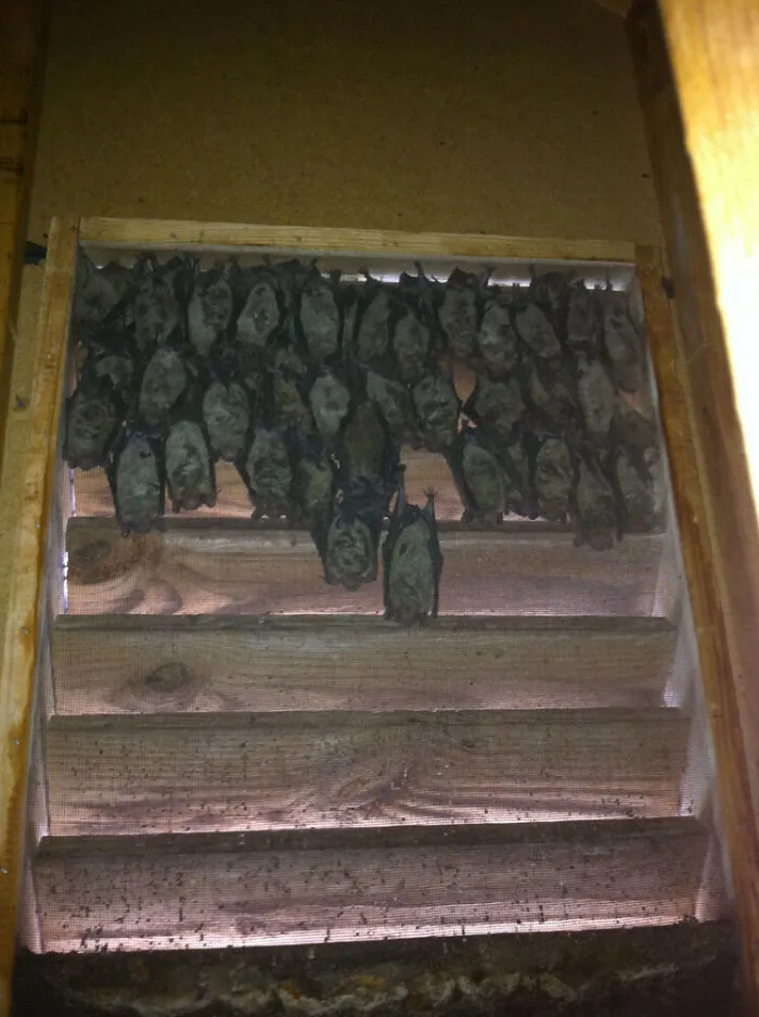 I Was Looking For Something In The Attic When I Found This