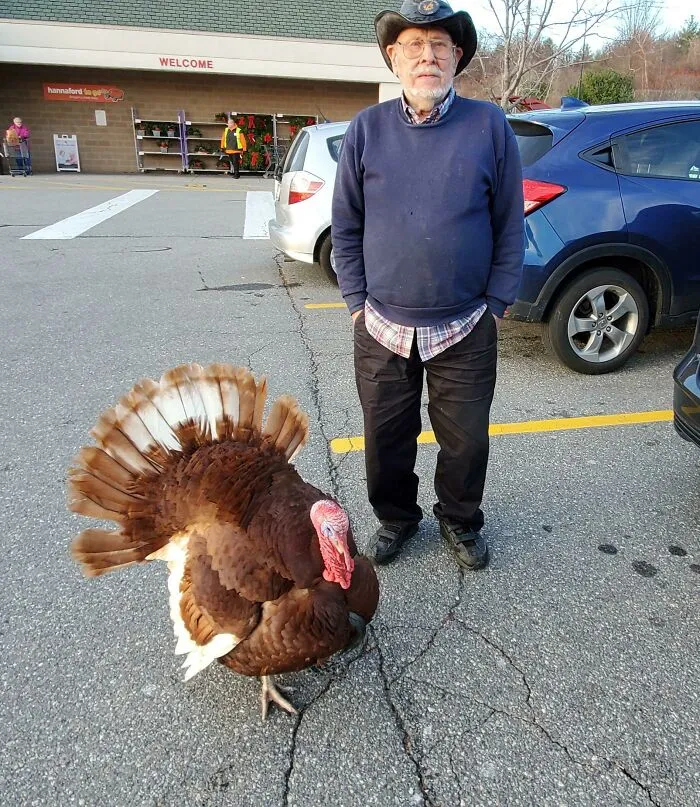 Este tipo que conocí en el supermercado llevaba a su pavo mascota con él