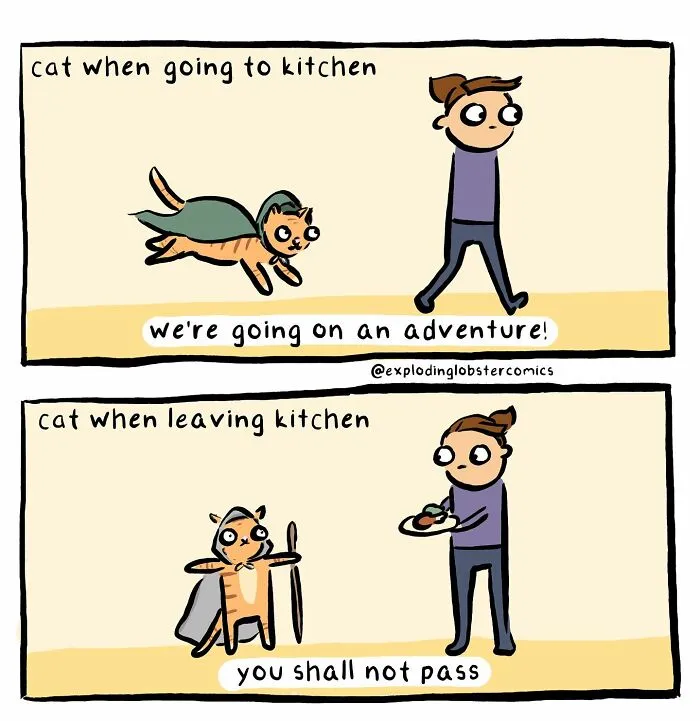 These 35 Comics Perfectly Mix Silly Humor With Brutal Honesty