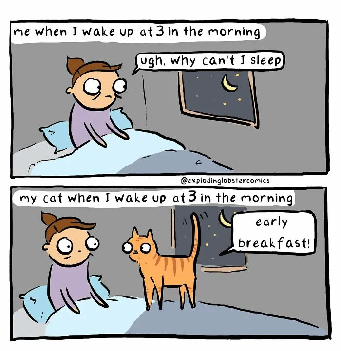 These 35 Comics Perfectly Mix Silly Humor With Brutal Honesty