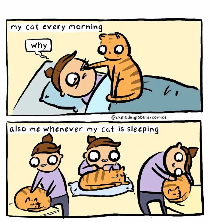 These 35 Comics Perfectly Mix Silly Humor With Brutal Honesty