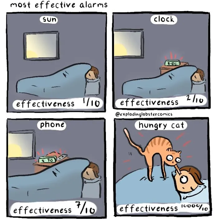 These 35 Comics Perfectly Mix Silly Humor With Brutal Honesty