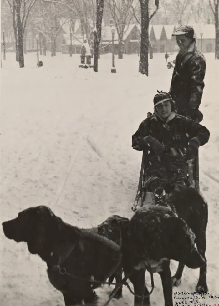 Great Depression photo of two boys with dogs pulling a sled through snowy park landscape in winter.
