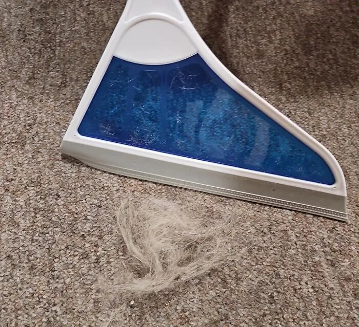 You Can Finally Command The Very Air Itself To Do Your Sweeping For You With The <a Style="Display:inline;" Href="Https://Www.amazon.com/Helio-Squeegee-Cleaning-Hardwood-Furniture/Dp/B0cx2tqmwh?ie=utf8&linkcode=ll1&tag=bpmammoth-20&linkid=289147f703e177f84d839f68a6f97525&language=en_us&ref_=as_li_ss_tl" Target="_blank">  <span Style="Font: Inherit; Color: #d74b1f;"> Helio Air Broom </Span>