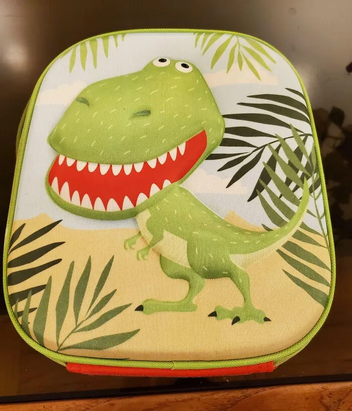 Le dije a mi esposa que no me importa lo que piensen mis compañeros. Quiero esta lonchera.