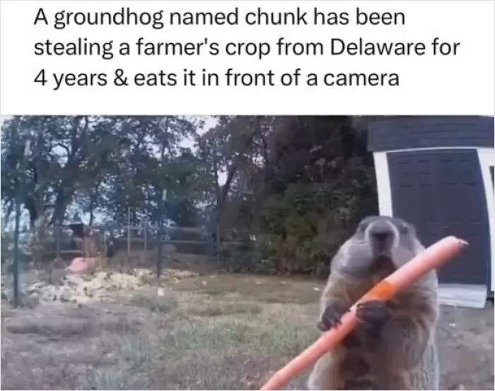 Chunk Gives 0 Ducks