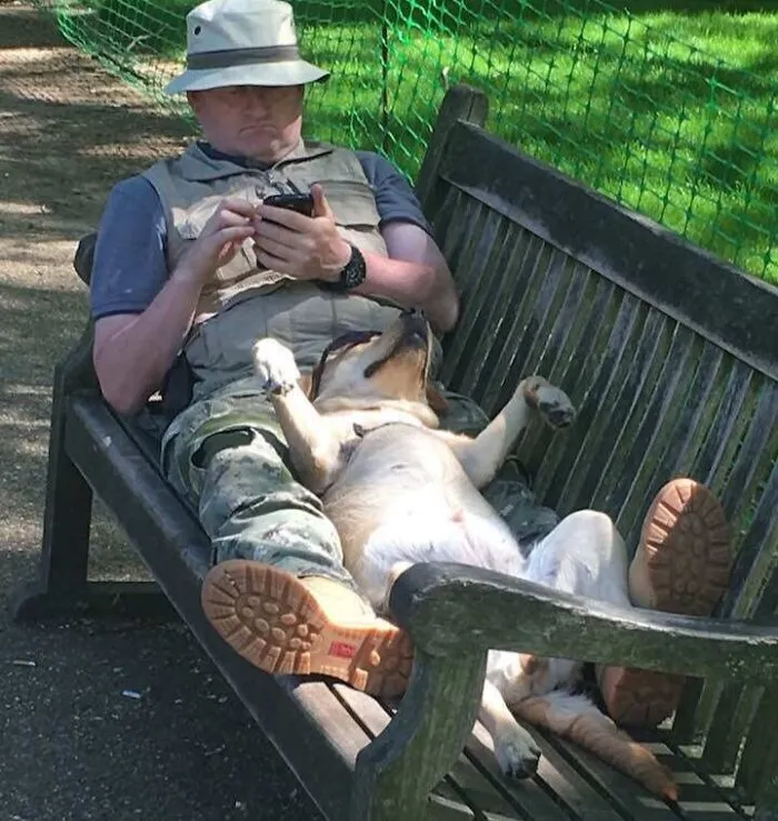 Este tipo de relax con su perro en Londres