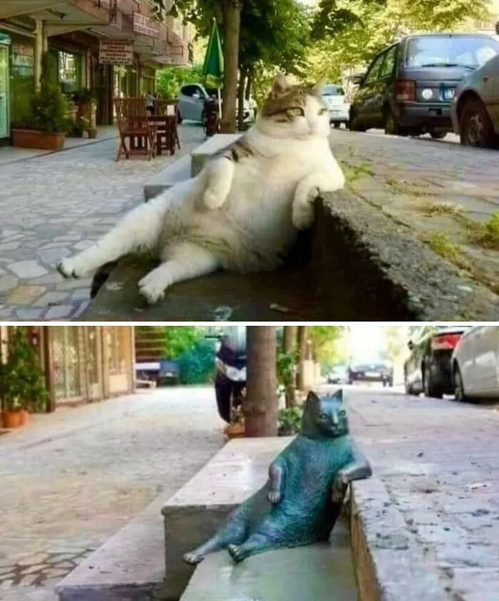 Una estatua en Estambul en honor a Tombili, un famoso gato callejero. Solía sentarse en esta posición y observar a los transeúntes.