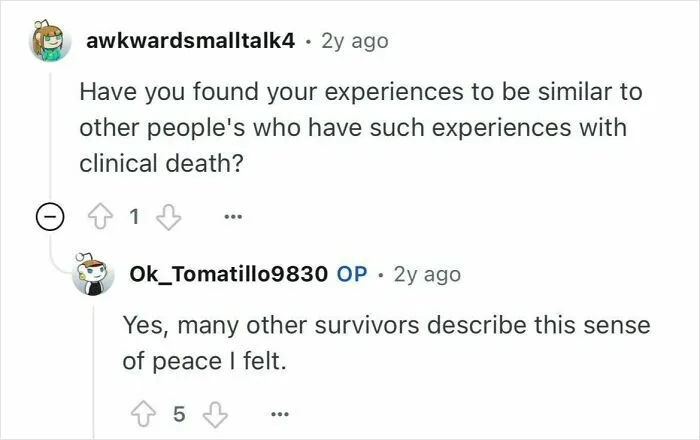 Reddit user discussing experiences and peace felt among survivors who died for 24 minutes and were clinically dead.