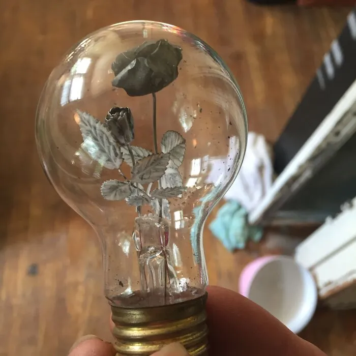 I Found This Lightbulb In An Attic At Work A Couple Weeks Ago. Turns Out It's An Aerolux Light Rose. According To Ebay It's A Vintage Item From The 1940's