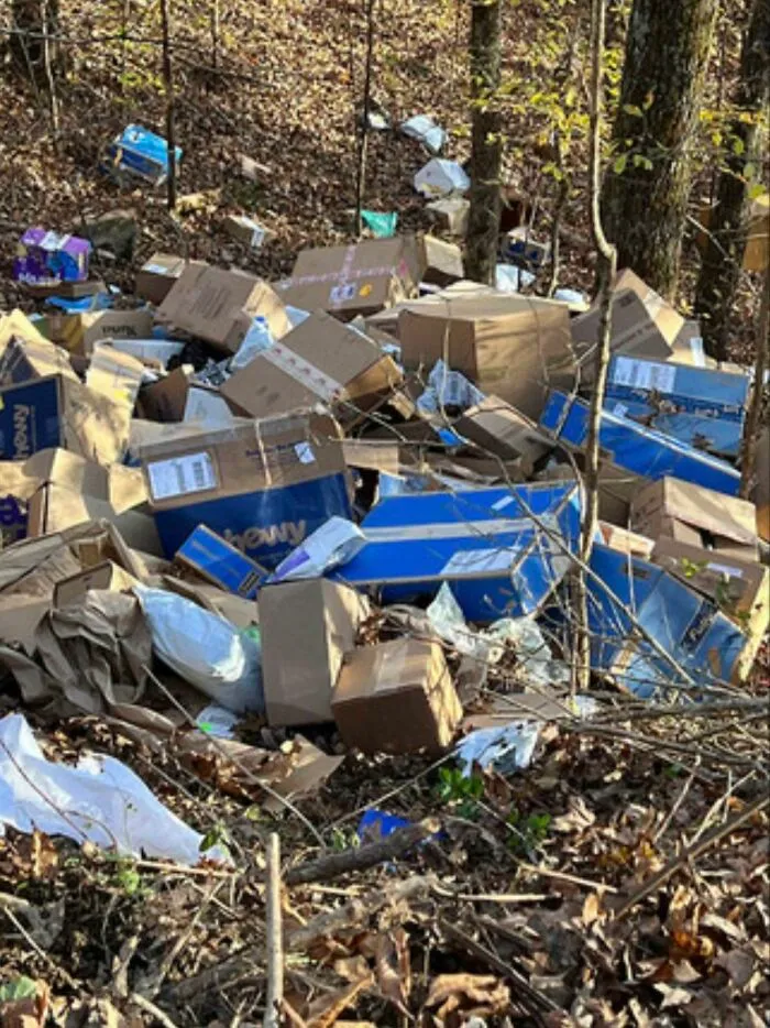 The FedEx Deliveries In My Area Frequently Get Lost. Today Someone Found 300-400 Boxes In A Ravine