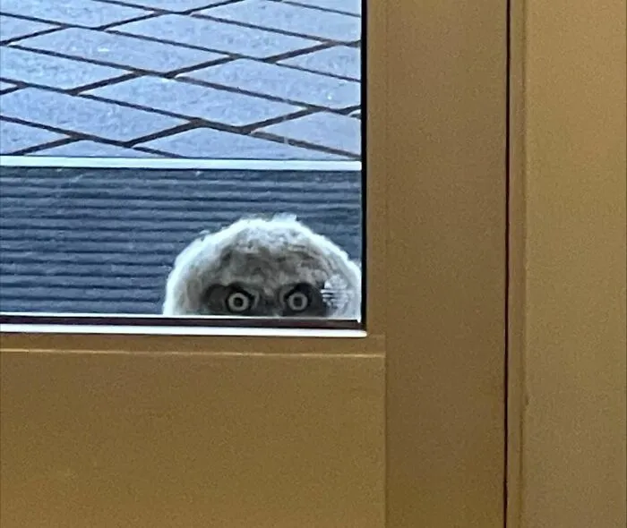 A College Near Me Had A Visitor (Trident Technical College)