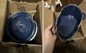 50 Times Disappointment With Deliveries Couldn’t Be Described With Words