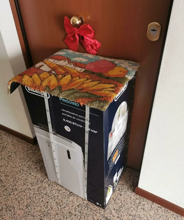 Thanks To The Amazon Delivery Guy For Hiding My Package Under The Carpet