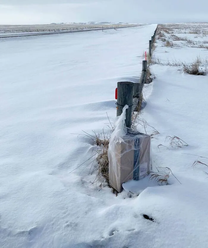 Amazon Said It Was Delivered 2 Weeks Ago. Couldn't Find It, Snow Finally Melted A Bit. (1/2 Mile Away From House)