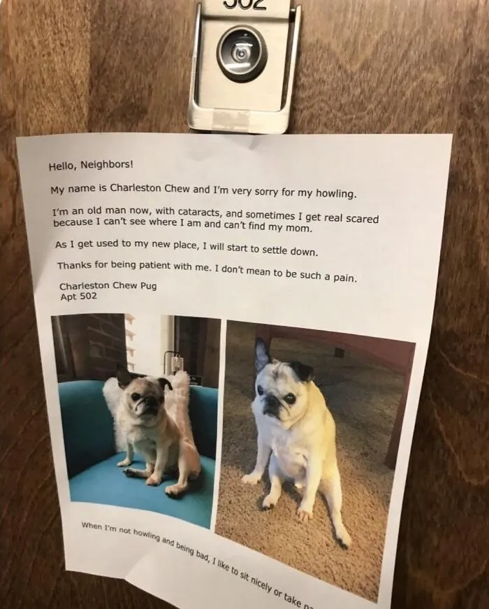 Wholesome Neighbor